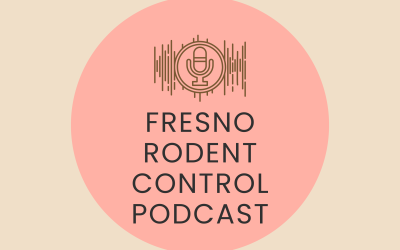 How should Fresno homeowners safely set up and monitor traps?